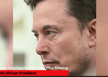 Elon Musk’s Face Says It All In Oval Office Meeting With South African President